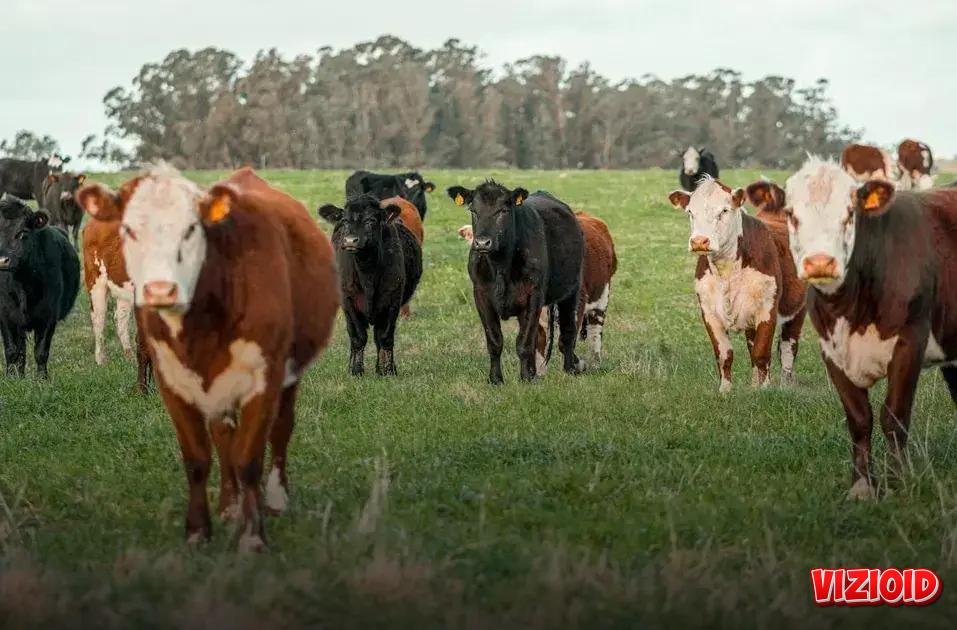 Common Pitfalls to Avoid