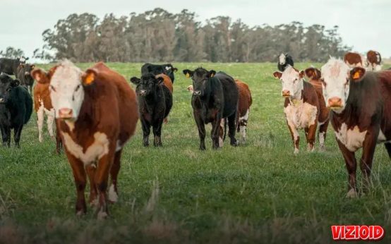 How to Build a Diversified Income Strategy: Boost Earnings Today