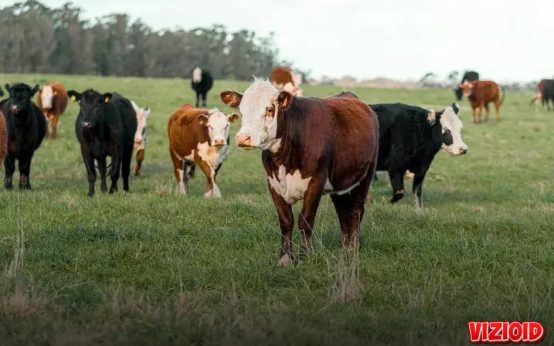 How to Invest in Income-Generating Properties: Top Tips