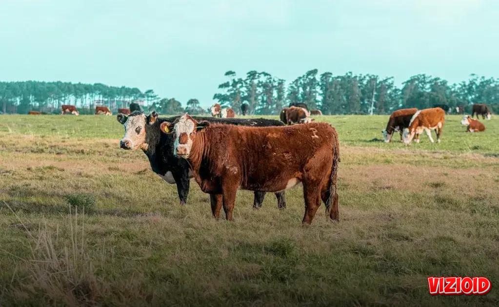 Long-term Financial Planning Amid Global Changes Long-term Financial Planning Amid Global Changes