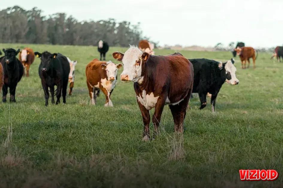 Regularly Review and Adjust Your Plan